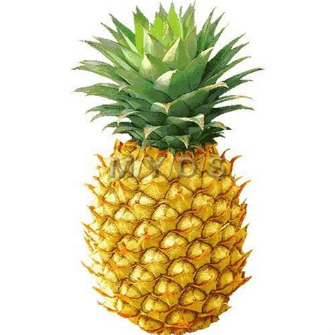 Download High Quality Pineapple Clip Art Printable Transparent Png