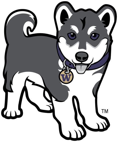 Washington Huskies Logo Misc Logo Ncaa Division I U Z Ncaa U Z