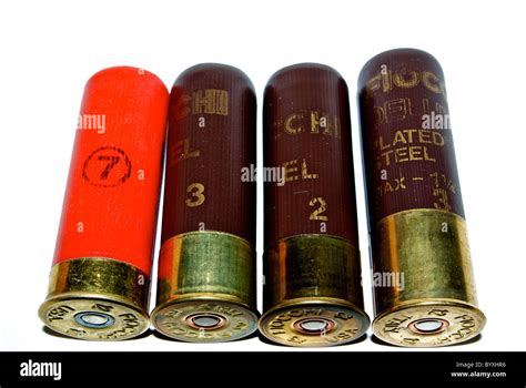 12 Gauge Shotgun Shells Migratory Duck Hunting Ammunition Variety Sizes