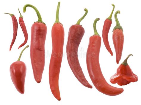 Different Types Of Red Red Hot Chili Pepper Picture Image 6503590