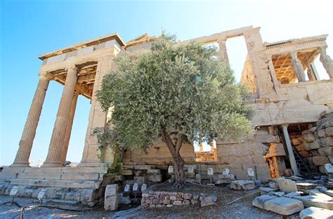 Visiting The Acropolis In Athens The Essential Guide Planetware