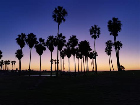 An Unedited Sunset At Venice Beach La Rpics