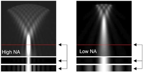 What Is Microscope Resolution Microscope Clarity