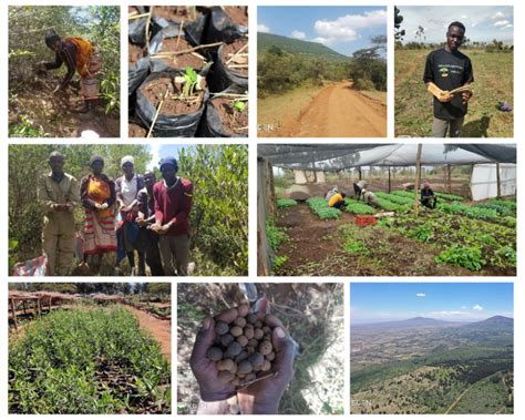 Eden Reforestation Project Kenya 2 Year Update Future Tech