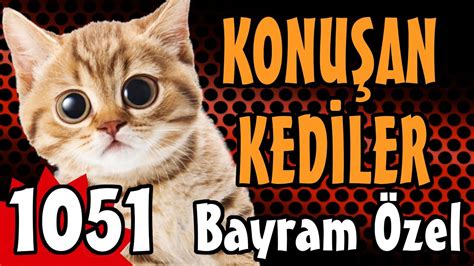 Konuşan Kediler 1051 Komik Kedi Videoları Bayram Özel Youtube