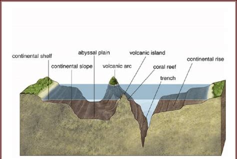Schematic Diagram Shows Continental Shelf Slope Trench And