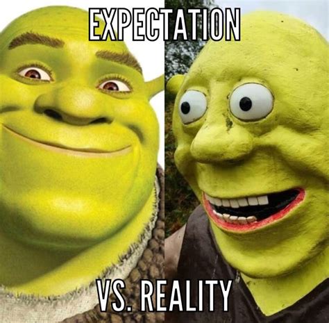 First Original Shrek Meme You Should Be Proud Mom Proud Mom Shrek Reality Joker The