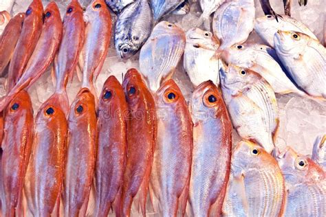 Whole Fresh Fishes Are Offered Stock Image Image Of Food Detail