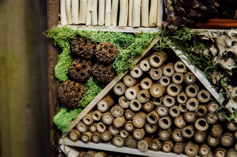 Insect hotels are all the rage. How To Build a Bug Hotel | HGTV