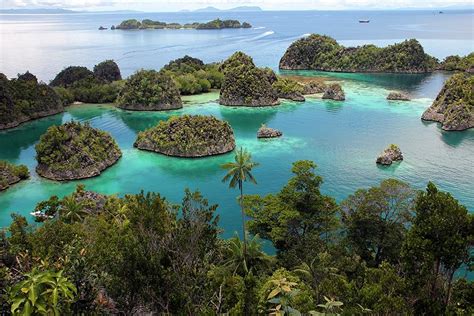 7 Best Diving Spots In Raja Ampat Authentic Indonesia Blog