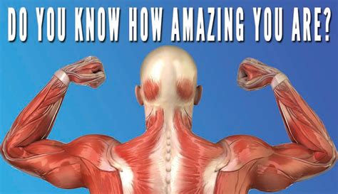 Amazing Facts About The Human Body