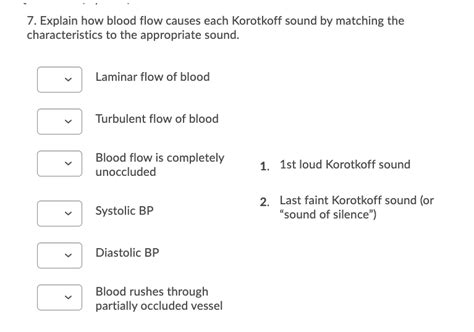 7 Explain How Blood Flow Causes Each Korotkoff Sound