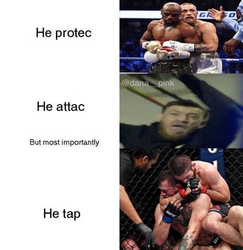 These Mma Memes Are Absolute Knockouts He S So Multi Talented Memes