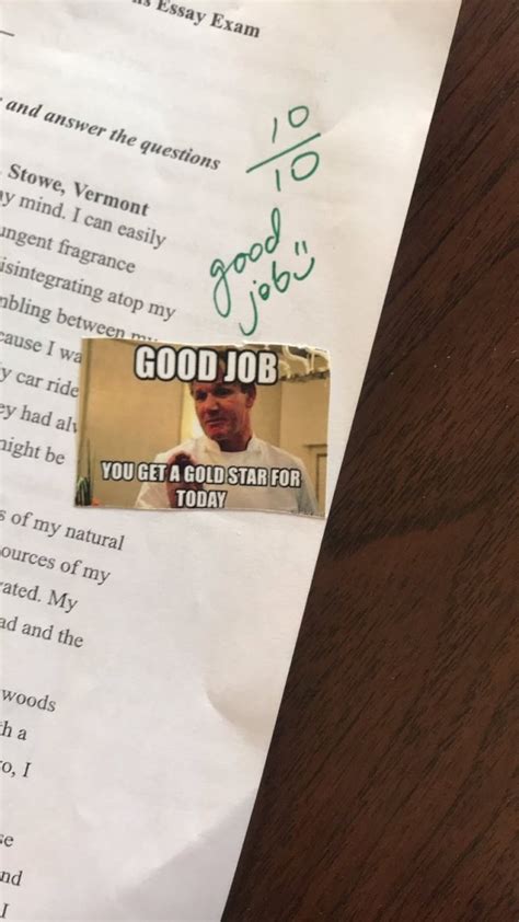 this teacher made meme stickers to grade papers with and they re perfect