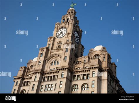 Royal Liver Building Liverpool England Stock Photo Alamy