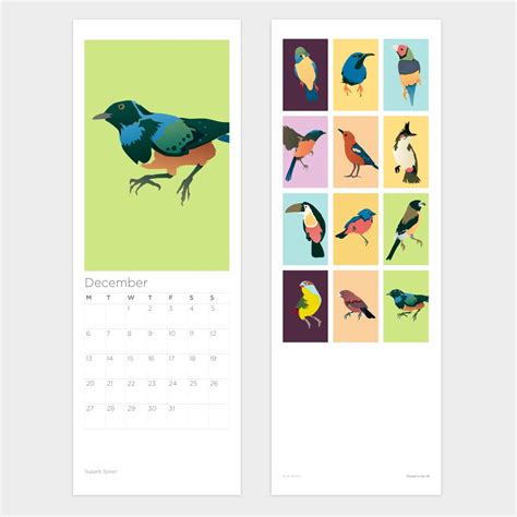 Reissue Birds Calendar 2022 Includes Free Uk Shipping Shop Jill