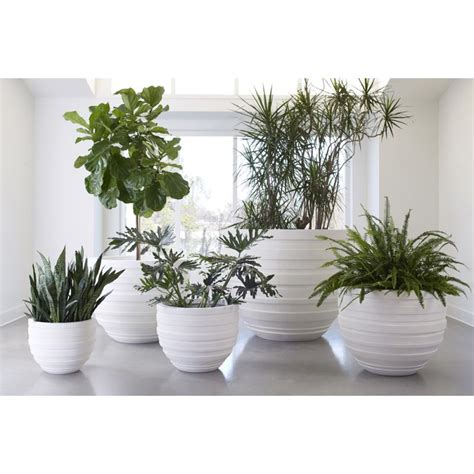 Phillips Collection June Planter White Md Ph100216