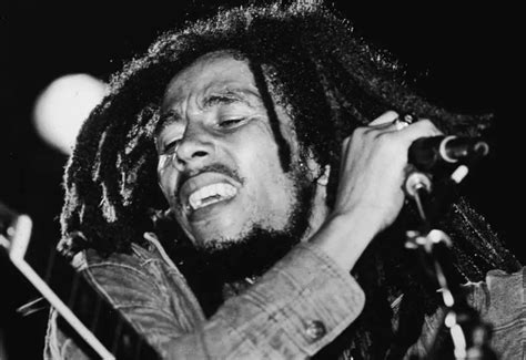 Bob Marley One Love A Musical Icons Journey From Roots To Reggae