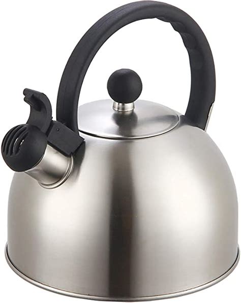 2 Liter Stainless Steel Whistling Tea Kettle Modern Stainless Steel