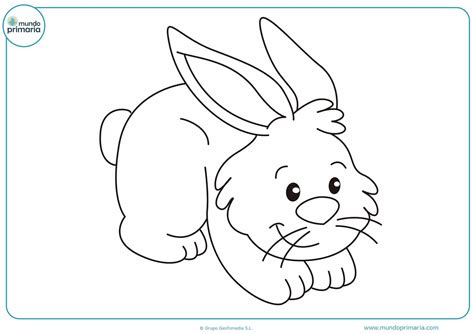 Dibujos De Conejos Para Dibujar
