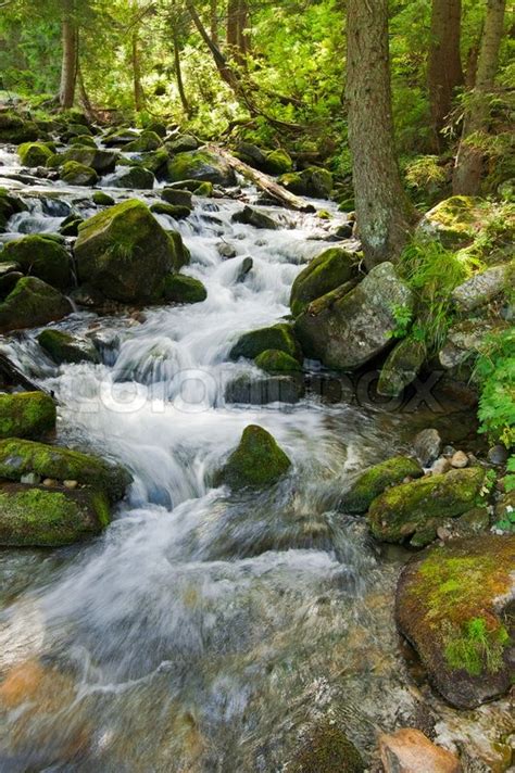 Mountain River Flowing At Summer Forest Stock Image Colourbox