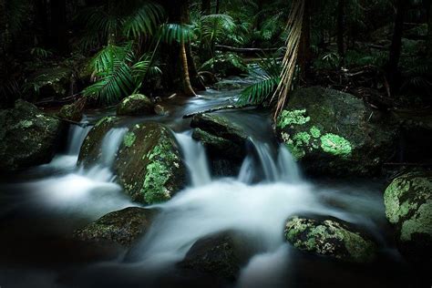 Mount Tamborine Queensland Australia Mt Tamborine Enchanted Wood