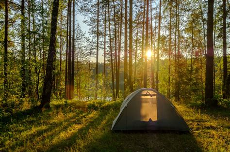 Social Trends Camping