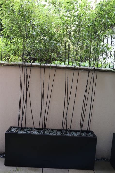 Simple and elegant, sorella is comfortable with traditional and. Contemporary planters | Outdoor Planters | Designer ...