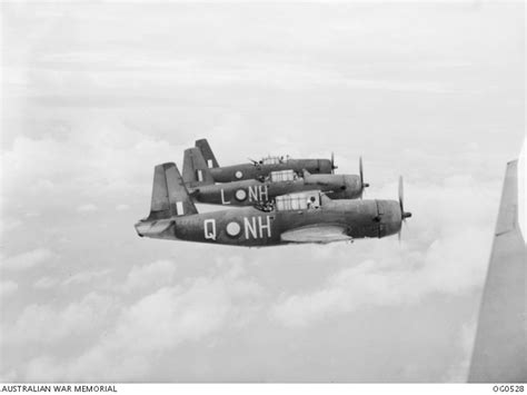 Line Up Formation Of Vultee Vengance Dive Bombers Of No 12 Squadron