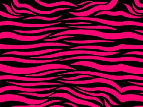 Pink Zebra Wallpaper Wallpapersafari