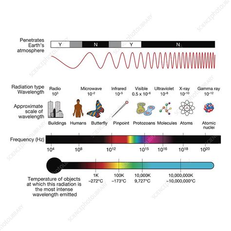 Electromagnetic spectrum, illustration - Stock Image ...
