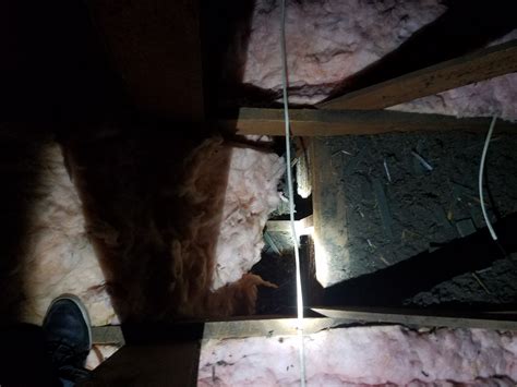 About the author larry stem is a professional pest controller working with hard target pest control since 2010, in his free time he writes articles on how to control pest and live a hygienic life. ATTIC CRAWLSPACE RESTORATION SPECIALISTS INSULATION RAT ...