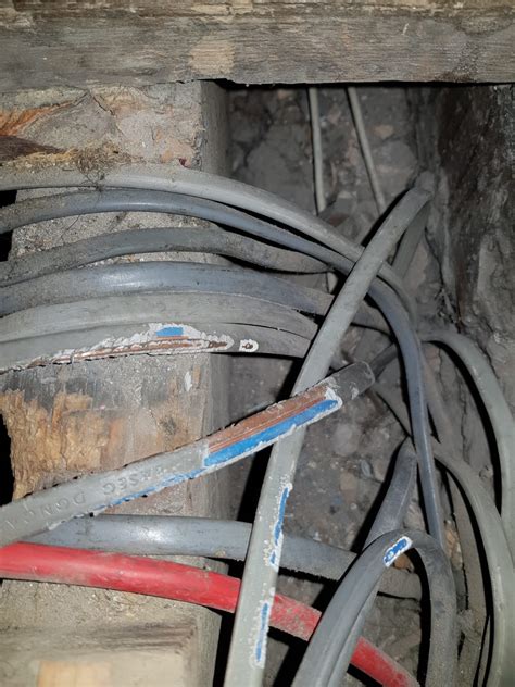 Your pest control requirements are our business. Rats & Mice Control & Removal in Stoke on Trent ...