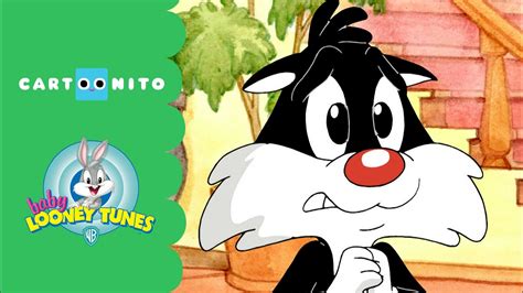 Baby Looney Tunes Change Is Important Cartoonito Youtube