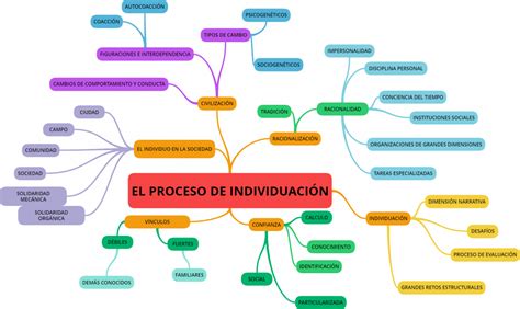 El Proceso De IndividuaciÓn Mapa Mental Investigación Sociológica