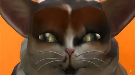 Graystillplays Sims Series But Its Just Spleens The Cat Better