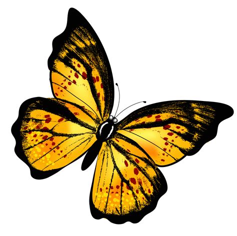 Yellow Butterfly PNG PNG, SVG Clip art for Web - Download Clip Art, PNG