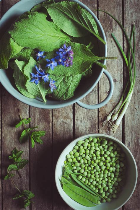So slice the garden egg leaves and add little salt to it. Borage Leaf, Pea and Garden Mint Soup - The Seasonal Table