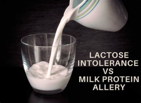 Lactose Intolerance Vs Milk Allergy Firstspoon