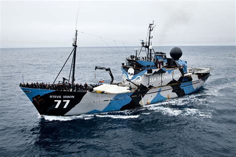 Sea Shepherd Conservation Society Is Sending Help To The Vaquita