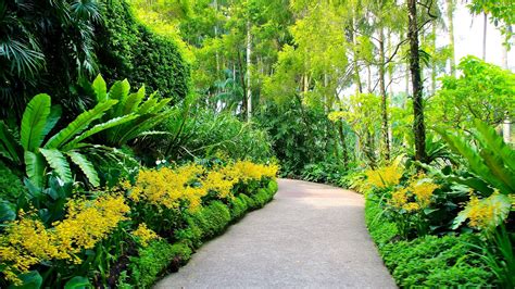 Botanical Garden Wallpapers Top Free Botanical Garden Backgrounds