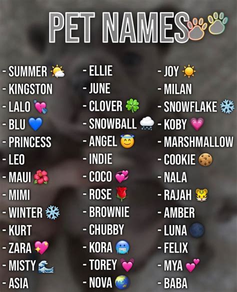 ℙ𝕚𝕟𝕥𝕖𝕣𝕖𝕤𝕥 𝕓𝕠𝕦𝕛𝕖𝕓𝕒𝕣𝕓 🎃 Cute Animal Names Cute Pet Names Dog Names