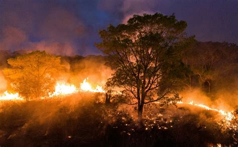 Planeta é devastado por incêndios há um ano ISTOÉ Independente