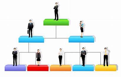 Structure Organizational Structures Hierarchy Organisation Common Company