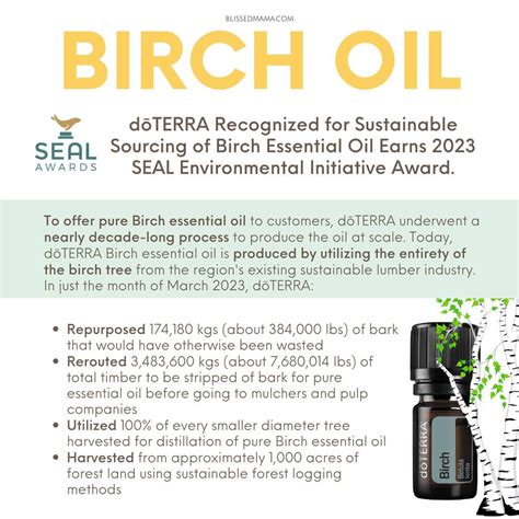 How To Use Birch Essential Oil Birch Benefits Uses And Sourcing