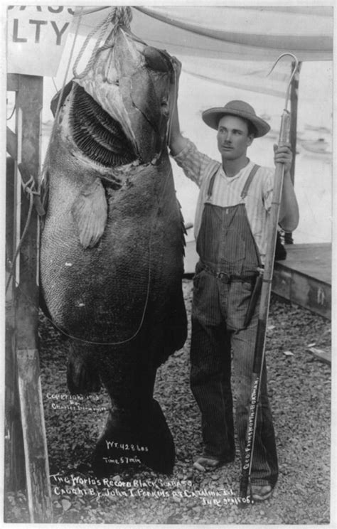Vintage World Record Black Sea Bass Photos Fishing Pictures Fishing