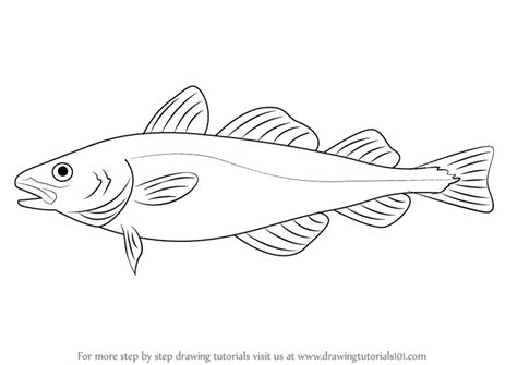 How To Draw A Cod Fish Tysonmeidl