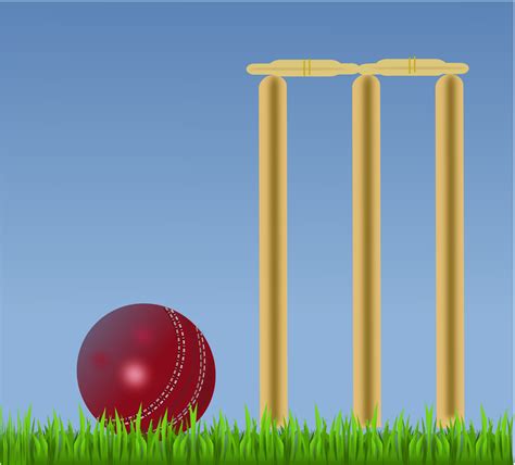 Clipart Cricket Illustration