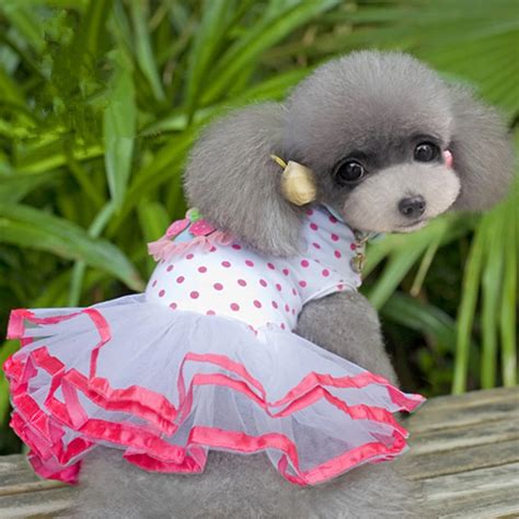 Cute Strawberry Pet Dog Dress Spring Summer Skirt For Small Medium Dogs