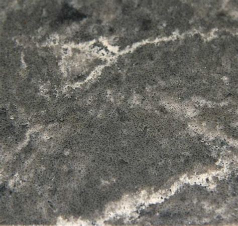 Coastal Grey Caesarstone Quartz C6003 Granit Plus